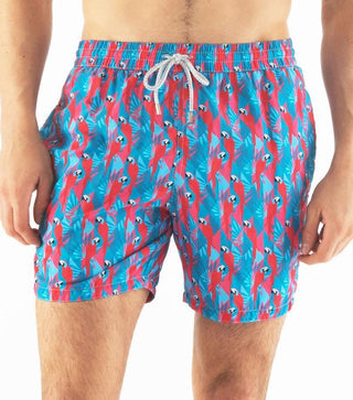 Swim Short Man Parrots - LNKM StoreZeybraSwimwear