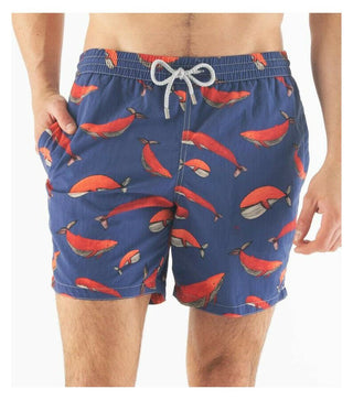 Swim Short Man Whales - LNKM StoreZeybraSwimwear