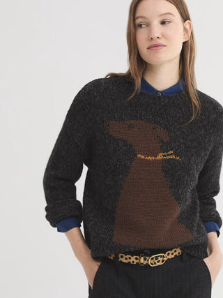 Dog Jumper
