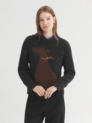 Dog Jumper