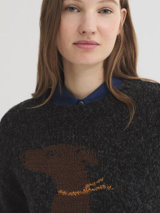 Dog Jumper