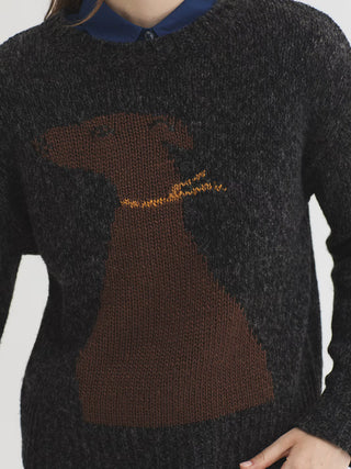 Dog Jumper