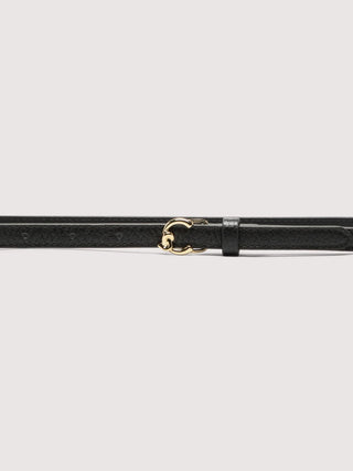 Coccinelle C - Me Belt - LNKM StoreCoccinelleBelt