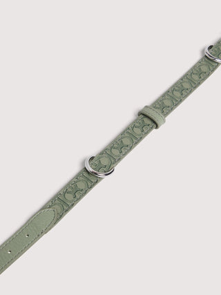 Dog Collar Medium - LNKM StoreCoccinellePet Capsule