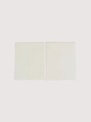 Suede Cleaning Cloth - LNKM StoreCoccinelleCleaning Cloth